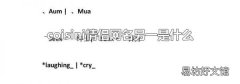 coisini情侣网名另一是什么