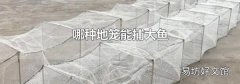 哪种地笼能捕大鱼