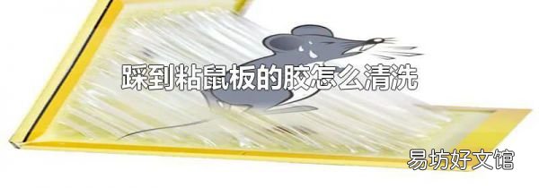 踩到粘鼠板的胶怎么清洗