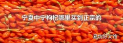 宁夏中宁枸杞哪里买到正宗的