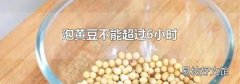 泡黄豆不能超过6小时