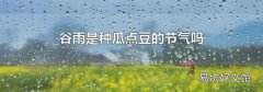 谷雨是种瓜点豆的节气吗
