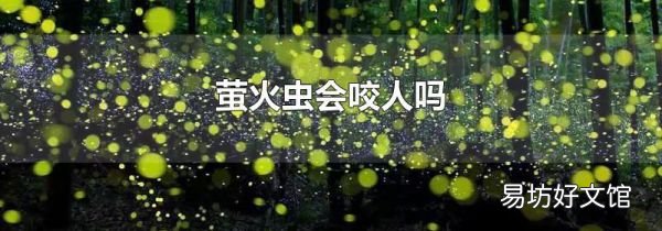 萤火虫会咬人吗