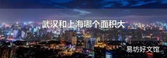 武汉和上海哪个面积大