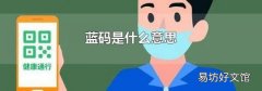 蓝码是什么意思