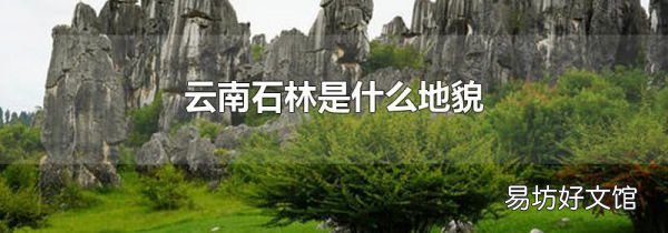 云南石林是什么地貌