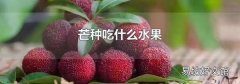 芒种吃什么水果
