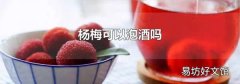 杨梅可以泡酒吗