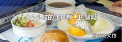 2个小时的飞机有飞机餐吗