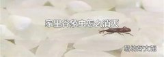 家里谷象虫怎么消灭