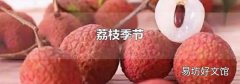荔枝季节