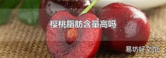 樱桃脂肪含量高吗