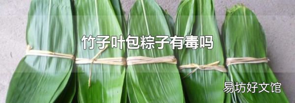 竹子叶包粽子有毒吗