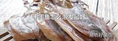 干墨鱼怎么泡发最好