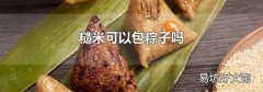 糙米可以包粽子吗