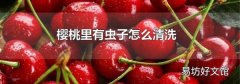樱桃里有虫子怎么清洗