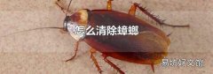 怎么清除蟑螂