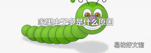 家里虫子多是什么原因