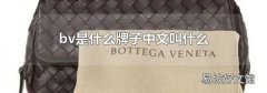 bv是什么牌子中文叫什么