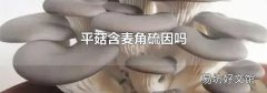 平菇含麦角硫因吗