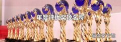 年度评优奖项名称