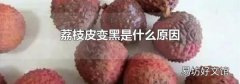 荔枝皮变黑是什么原因