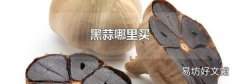 黑蒜哪里买