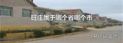 旺庄属于哪个省哪个市