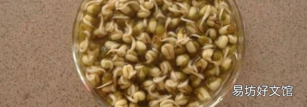 绿豆泡了一夜发芽了还能做绿豆汤吗