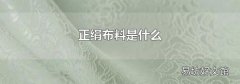 正绢布料是什么