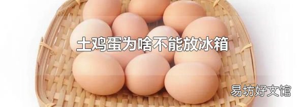 土鸡蛋为啥不能放冰箱