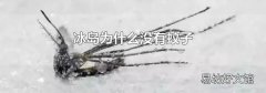 冰岛为什么没有蚊子
