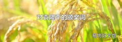 对袁隆平的颁奖词