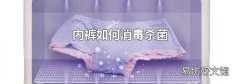 内裤如何消毒杀菌