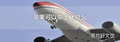 苹果可以带上飞机么