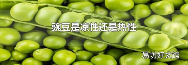 豌豆是凉性还是热性