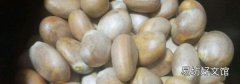 菠萝蜜核一次能吃多少