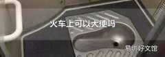 火车上可以大便吗