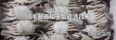 顺丰邮寄梭子蟹能活几天
