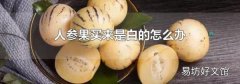人参果买来是白的怎么办