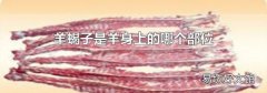 羊蝎子是羊身上的哪个部位