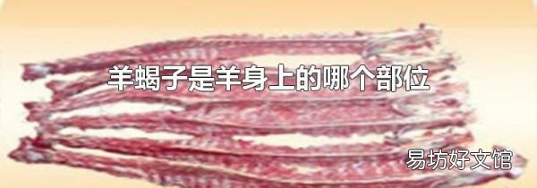 羊蝎子是羊身上的哪个部位