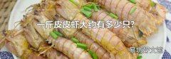 一斤皮皮虾大约有多少只?
