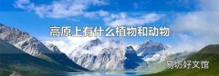 高原上有什么植物和动物