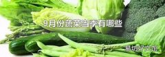 9月份蔬菜当季有哪些