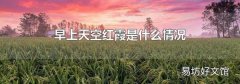 早上天空红霞是什么情况