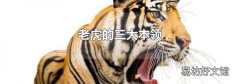 老虎的三大本领