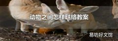 动物之间怎样联络教案