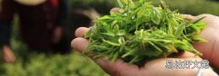 茶叶放了5年还能喝吗