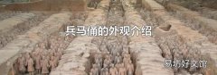 兵马俑的外观介绍